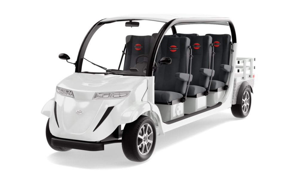 Электромобиль Elecar 5E-TIGARBO 6G