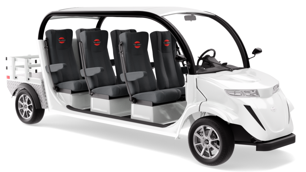 Электромобиль Elecar 5E-TIGARBO 6G