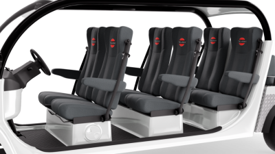 Электромобиль Elecar 5E-TIGARBO 6+2