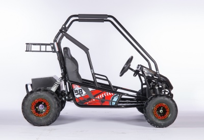 Подростковый двухместный электрический багги RAPID