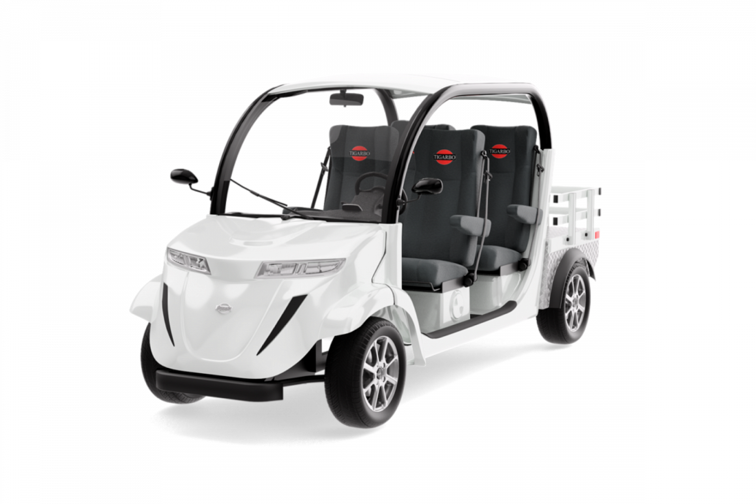 Электромобиль Elecar 5E-TIGARBO 4G