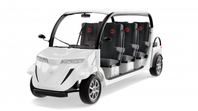 Электромобиль Elecar 5E-TIGARBO 6+2