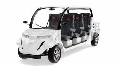 Электромобиль Elecar 5E-TIGARBO 6G